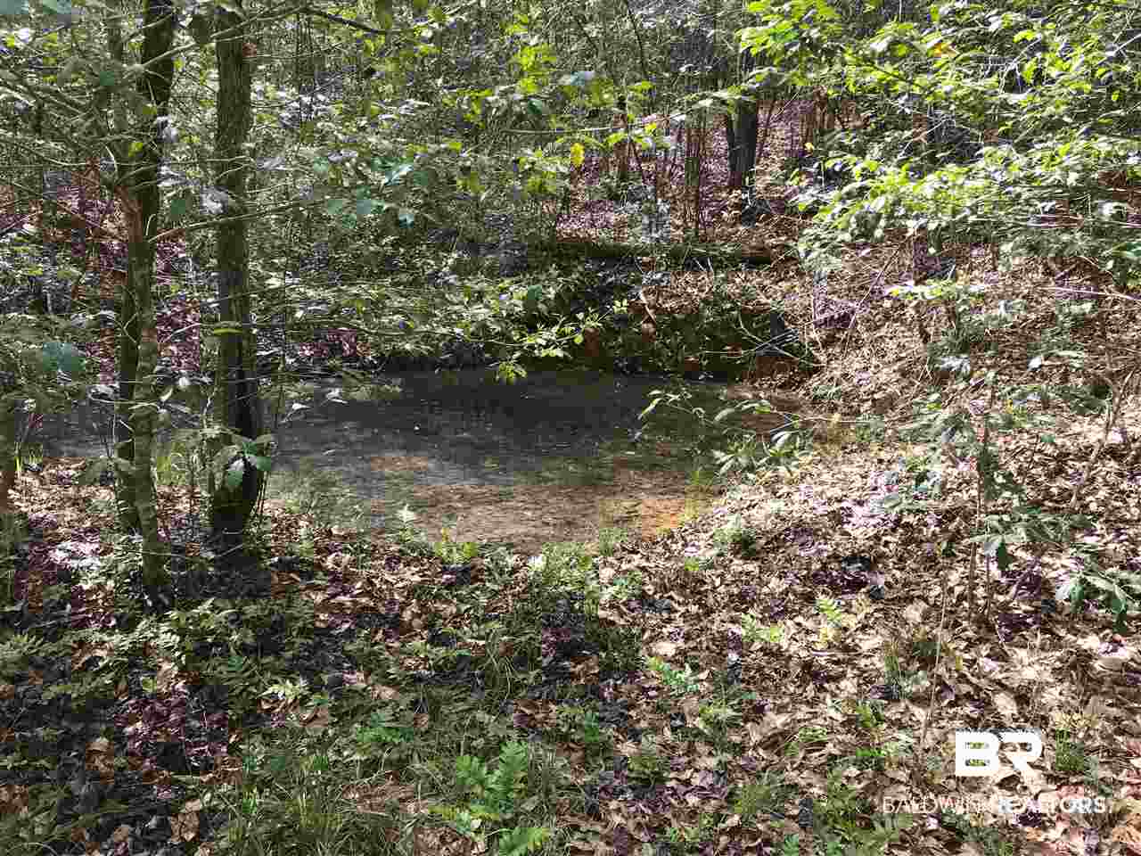 1178 Dry Lake Road Luverne, AL 36049 - Photo 34 of 50