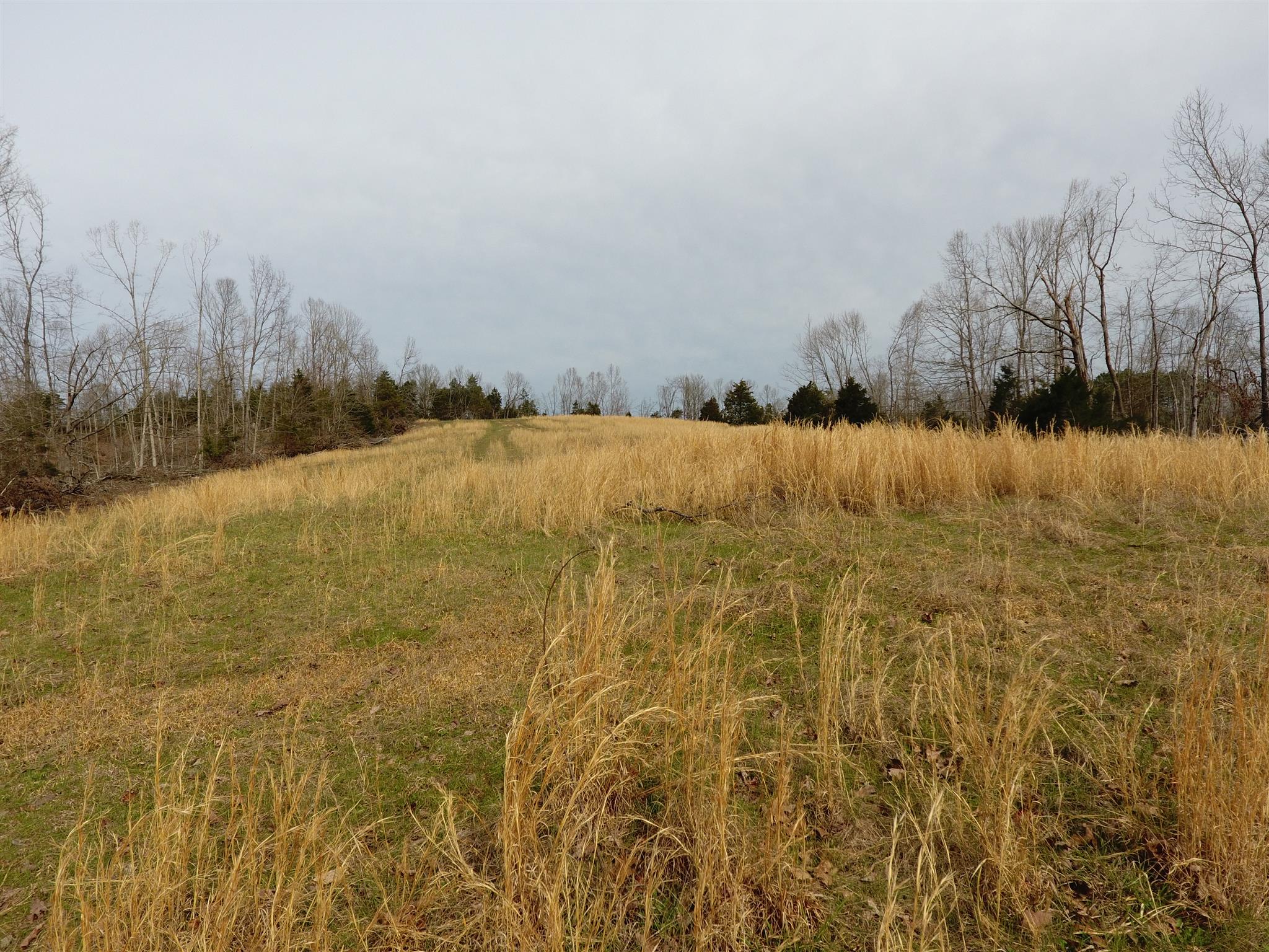 2 Balthrop Branch Road Dickson, TN 37055 - Photo 5 of 10 Gallery Image 5