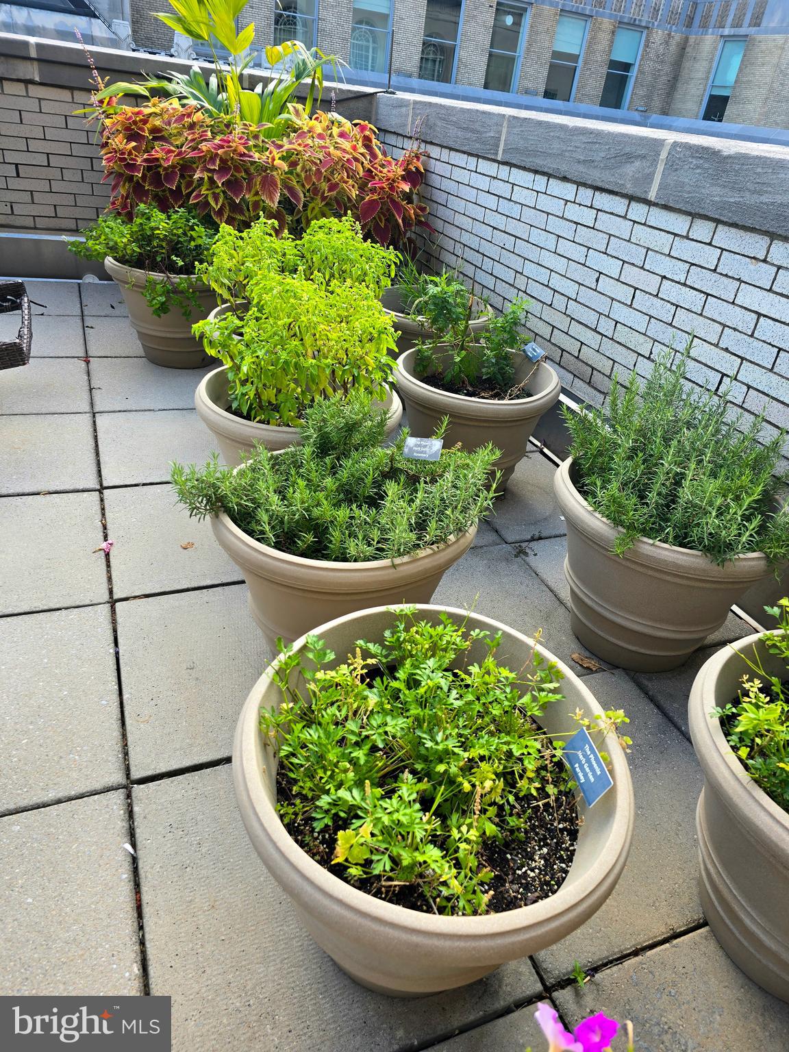1600 Arch Street, Unit 1905 Philadelphia, PA 19103 - Photo 83 of 92 a view of a backyard with plants