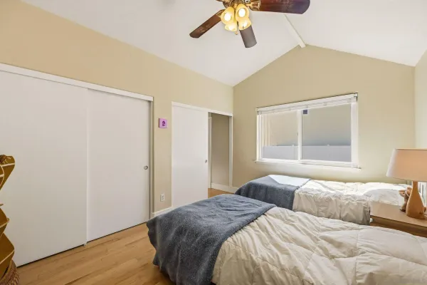 a view of a large trees with a yard