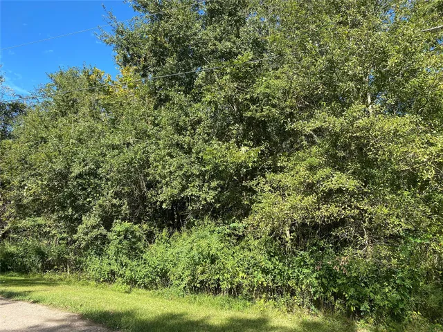 $109,900 | 2653 County Road 348, Brazoria, TX 77422