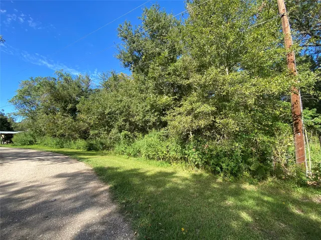 $109,900 | 2653 County Road 348, Brazoria, TX 77422