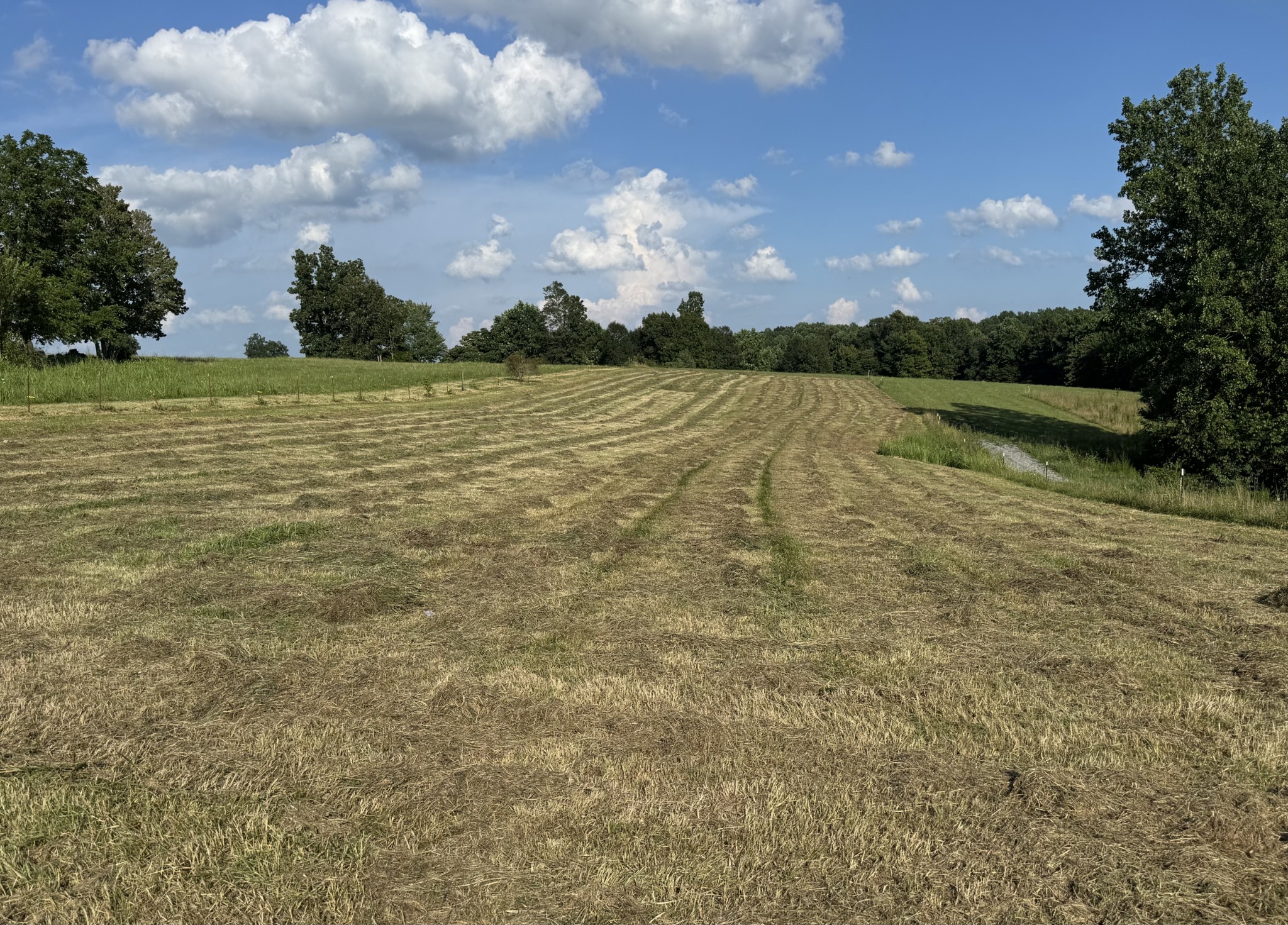 0 Galen Road Lafayette, TN 37083 - Photo 2 of 4