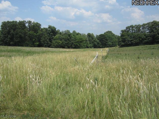 2885 Slack Road Mount Perry, OH 43760 - Photo 1 of 25 Fence line property line, property is to the left and lane to the right.