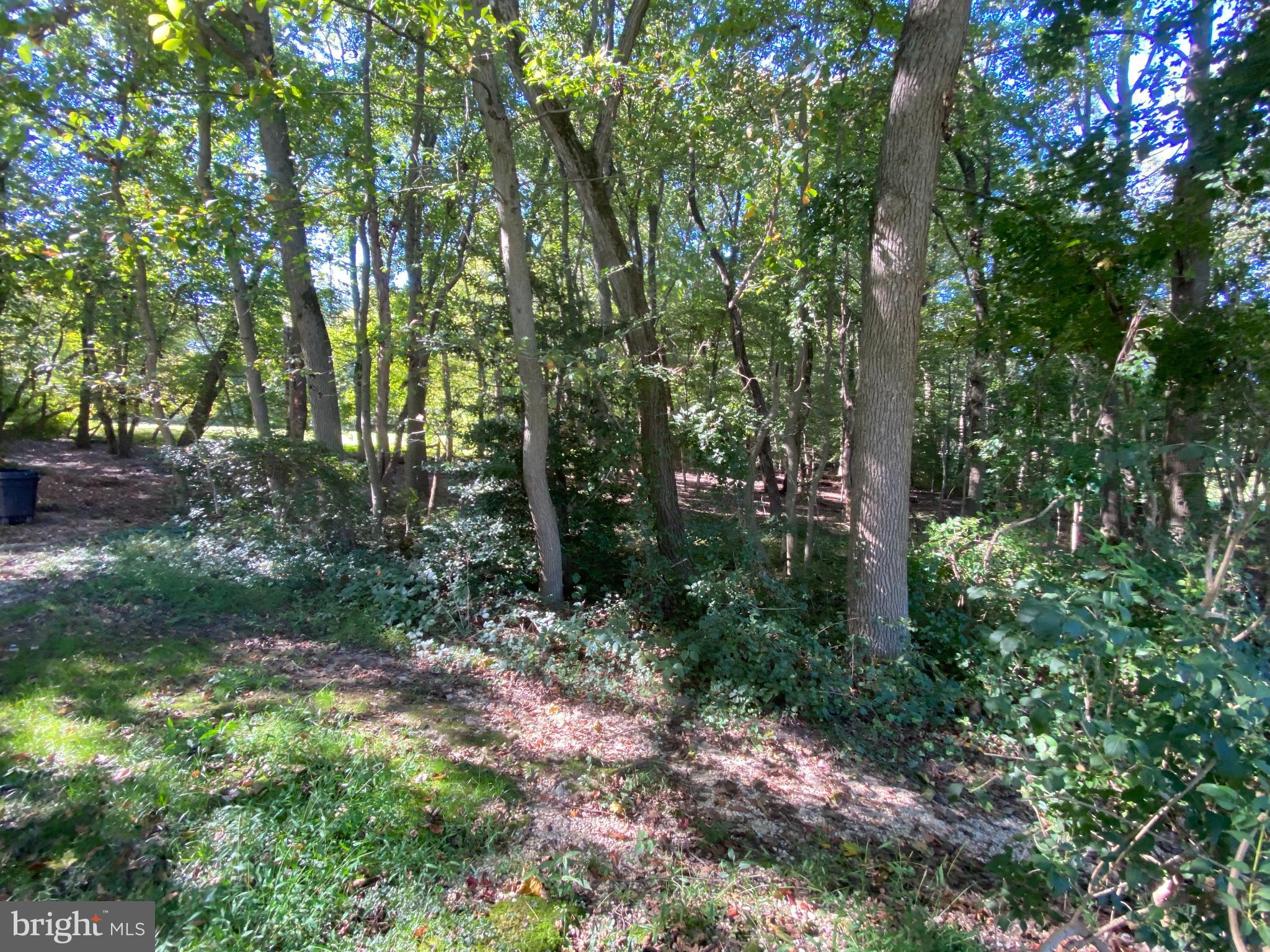 6650 Montgomery Road Elkridge, MD 21075 - Photo 22 of 32 Yard