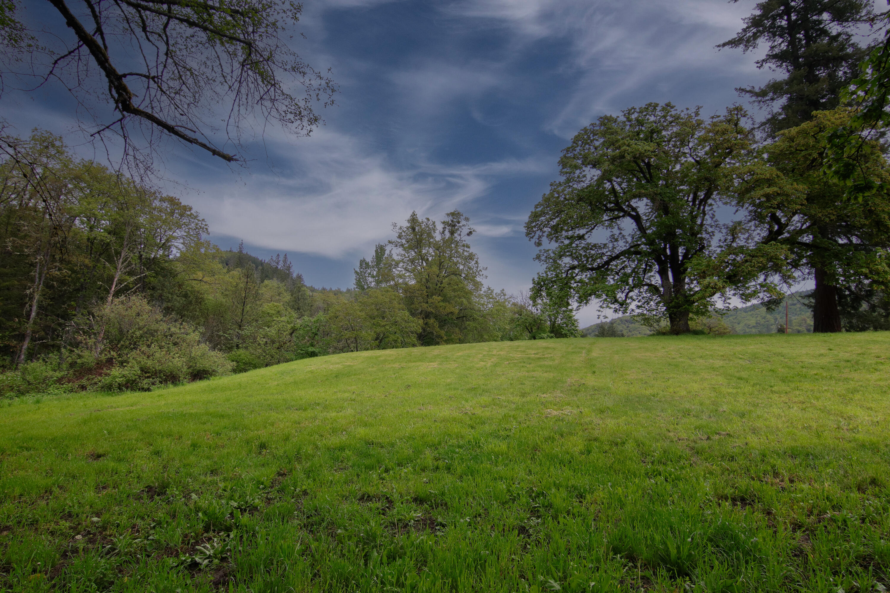 2661 Wards Creek Road Rogue River, OR 97537 - Photo 2 of 15 a view of a field of grass and trees