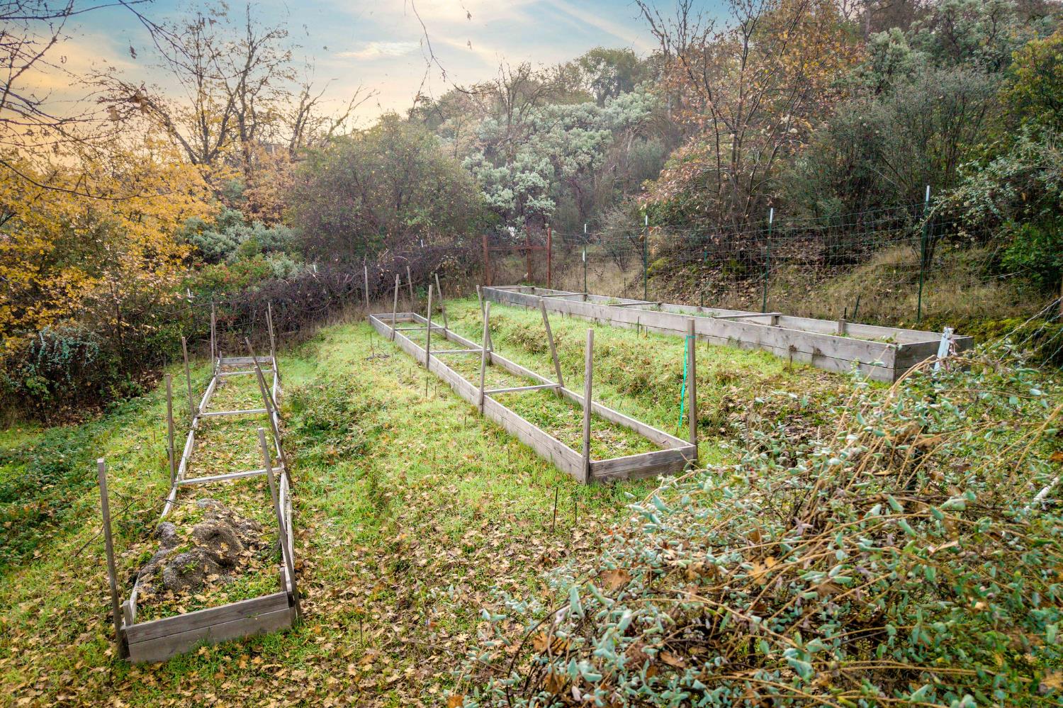 11838 Flying T Road Penn Valley, CA 95946 - Photo 11 of 42 a view of a swimming pool with a bench and trees