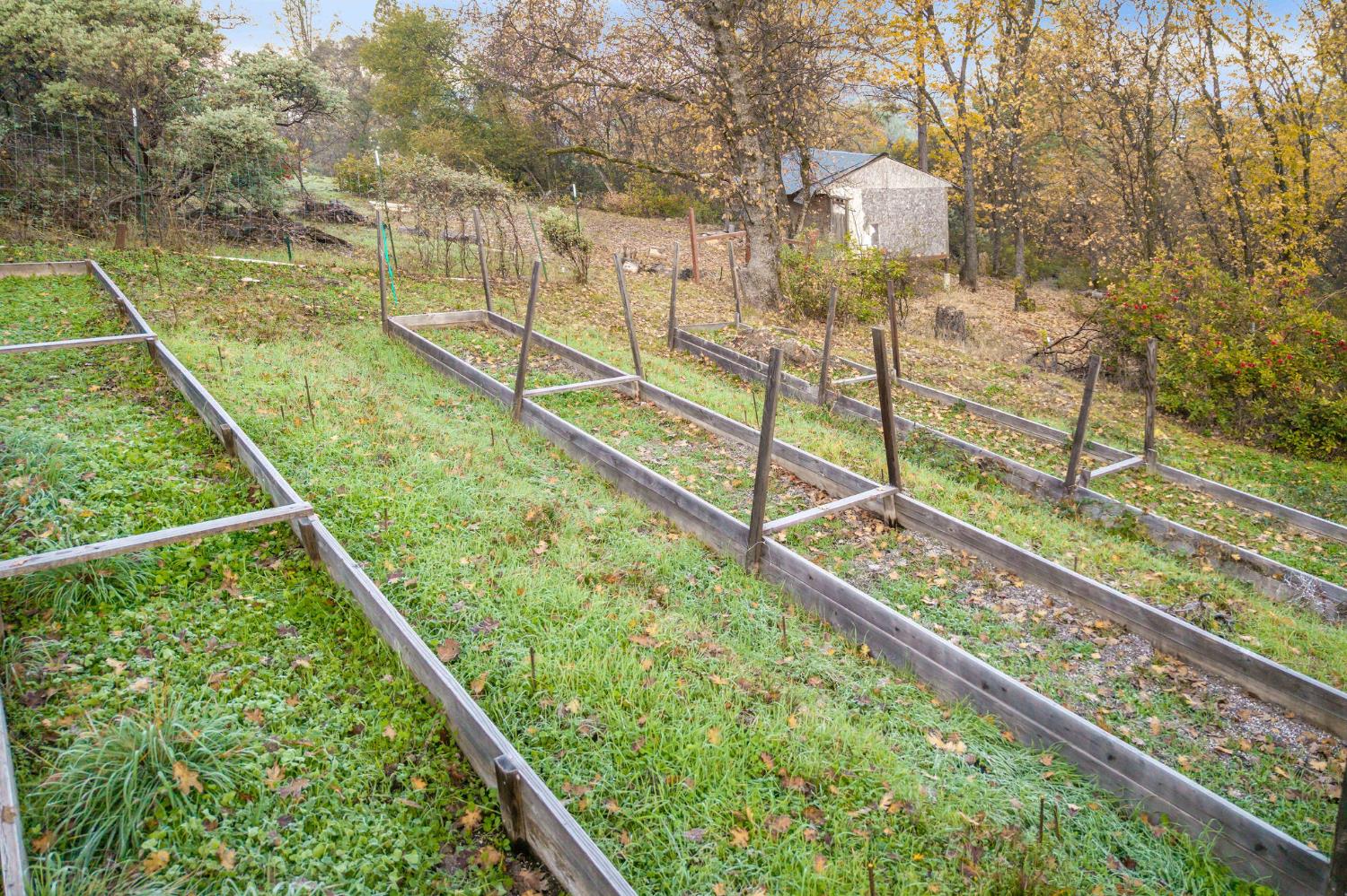 11838 Flying T Road Penn Valley, CA 95946 - Photo 12 of 42 a view of a balcony