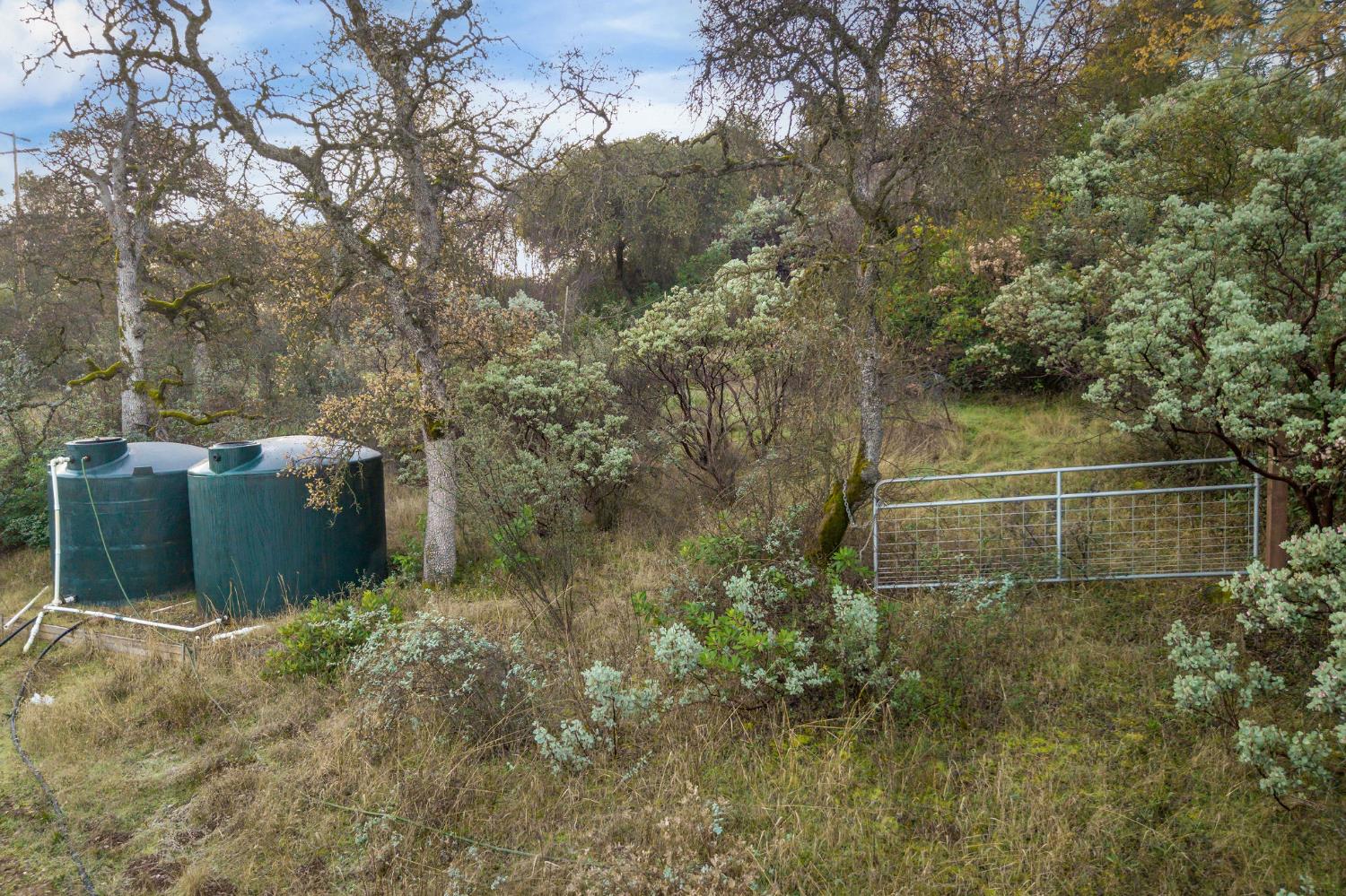 11838 Flying T Road Penn Valley, CA 95946 - Photo 15 of 42 a view of a backyard