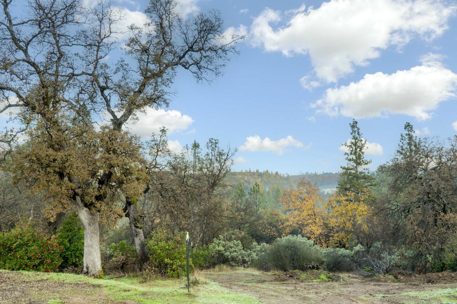 11838 Flying T Road Penn Valley, CA 95946 - Photo 16 of 42 a view of a city with trees