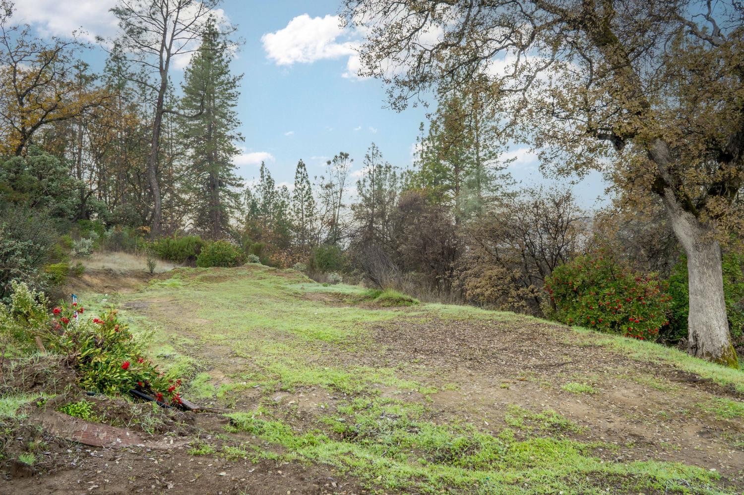 11838 Flying T Road Penn Valley, CA 95946 - Photo 18 of 42 a big yard with lots of green space and fog