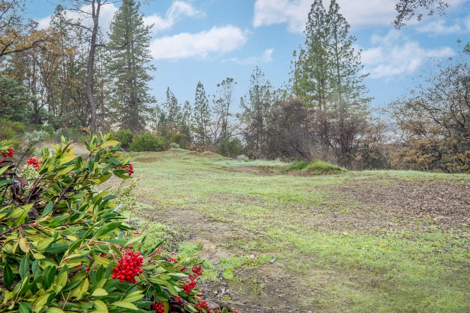 11838 Flying T Road Penn Valley, CA 95946 - Photo 19 of 42 a view of a garden with a fountain
