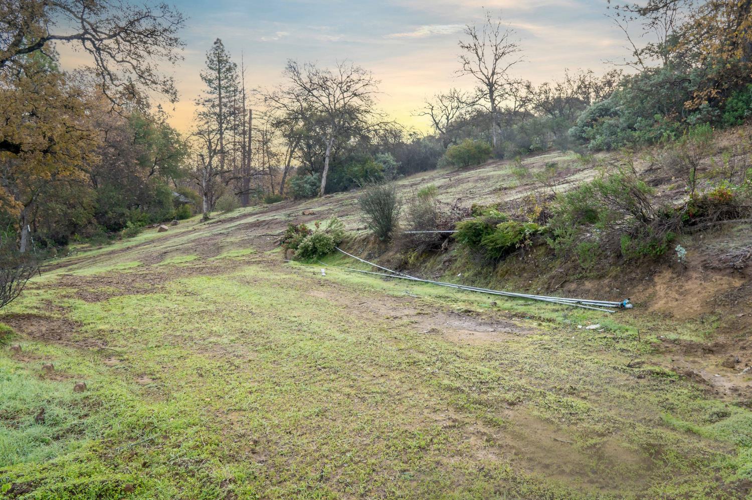11838 Flying T Road Penn Valley, CA 95946 - Photo 20 of 42 a view of a yard with a tree