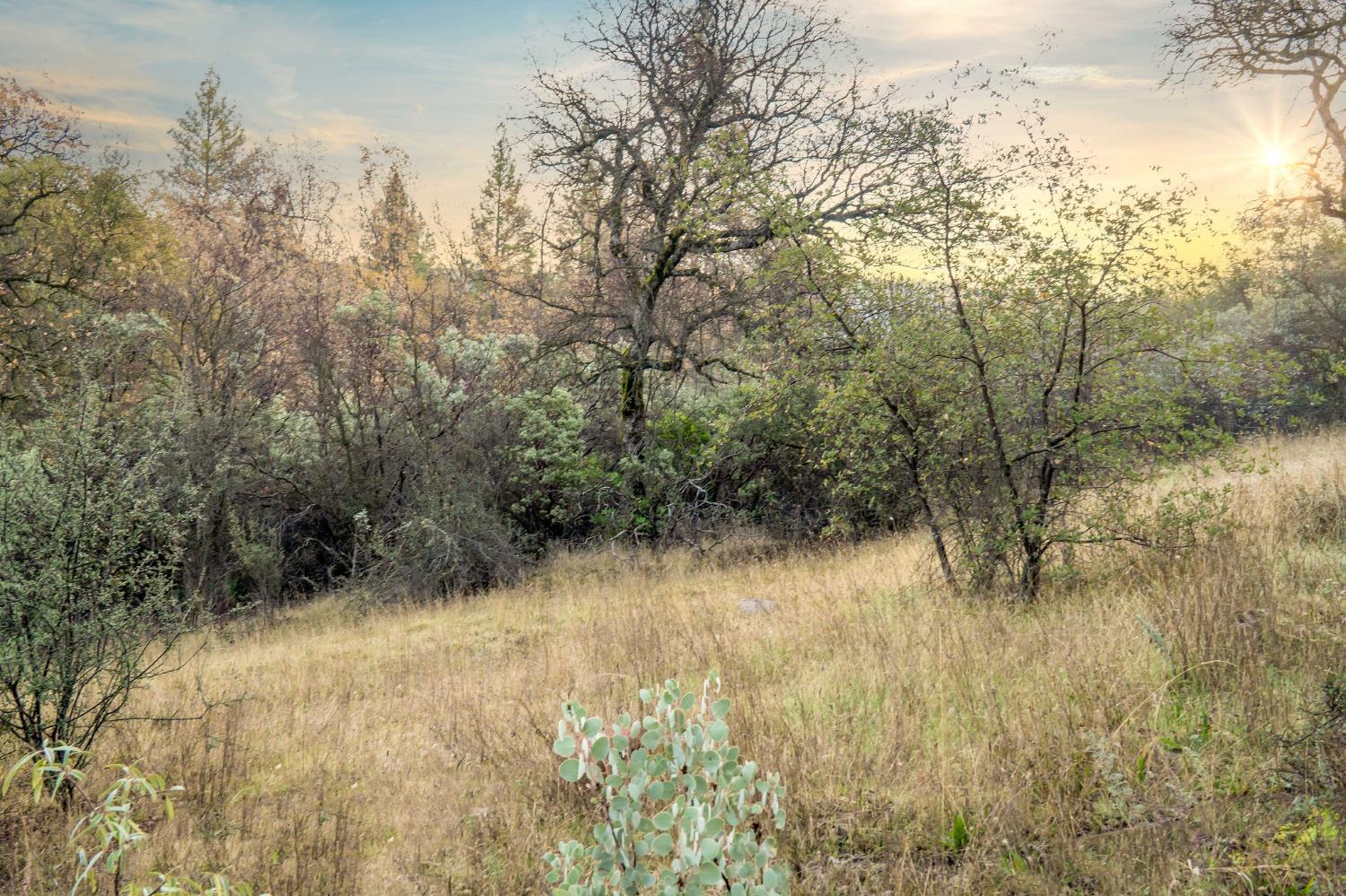 11838 Flying T Road Penn Valley, CA 95946 - Photo 21 of 42 a view of a yard