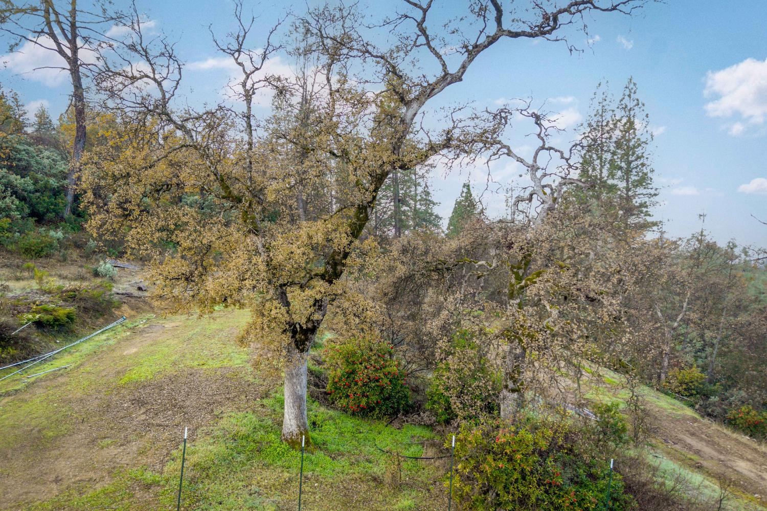 11838 Flying T Road Penn Valley, CA 95946 - Photo 23 of 42