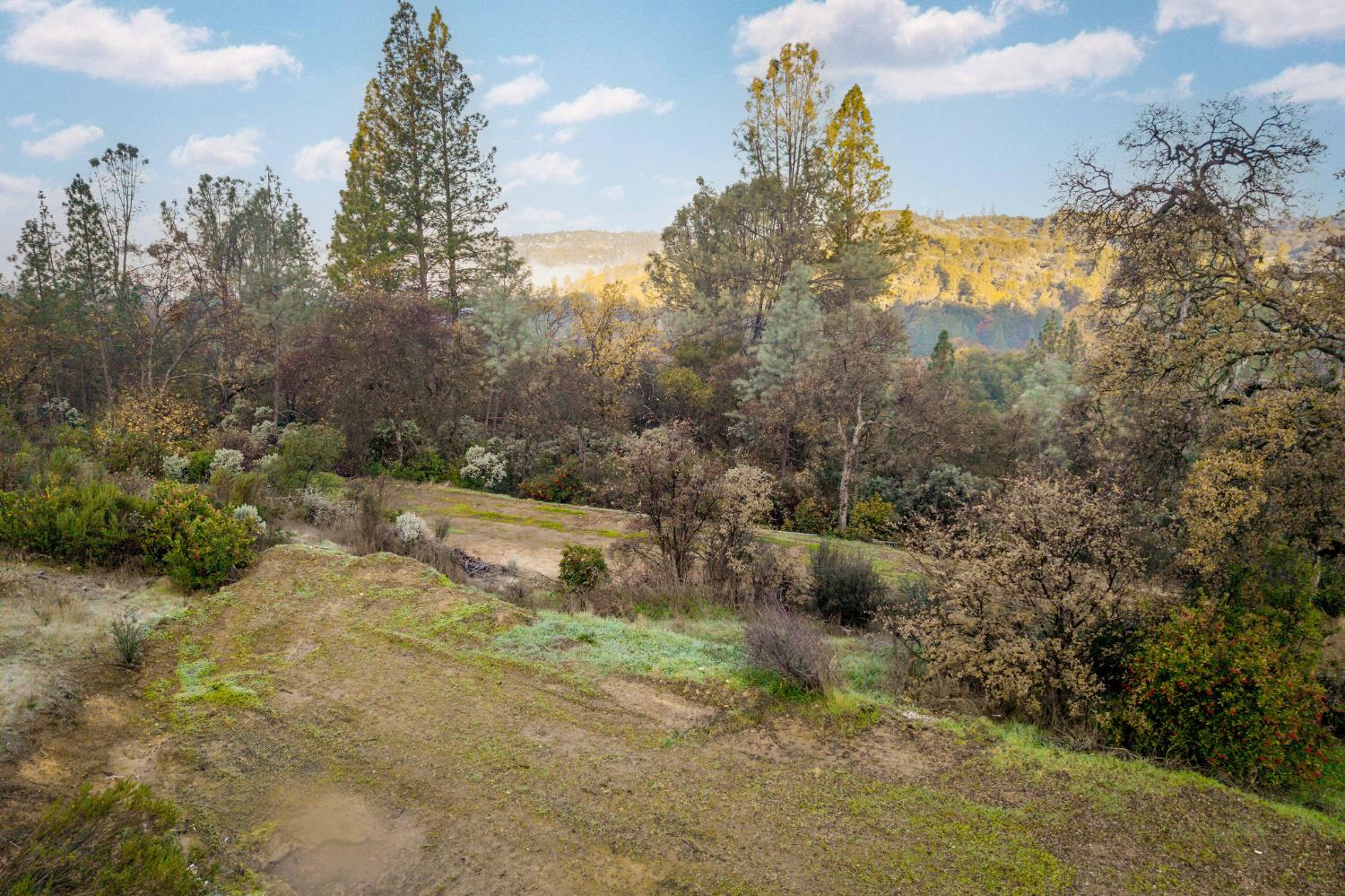 11838 Flying T Road Penn Valley, CA 95946 - Photo 24 of 42 a view of a yard with trees