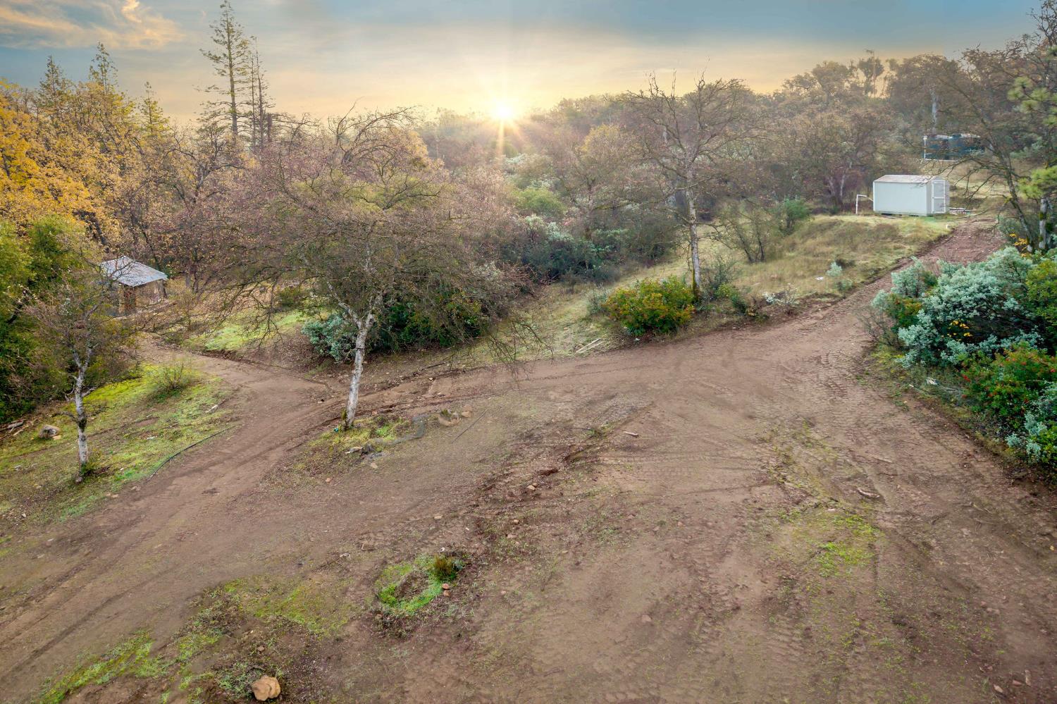 11838 Flying T Road Penn Valley, CA 95946 - Photo 26 of 42 a view of a dry yard with trees