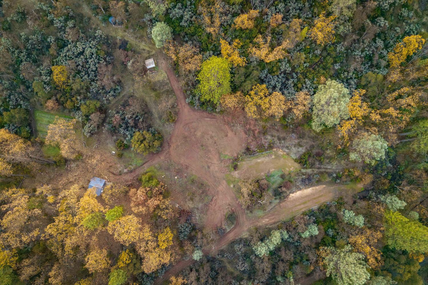 11838 Flying T Road Penn Valley, CA 95946 - Photo 27 of 42 a view of a yard with plants and tree