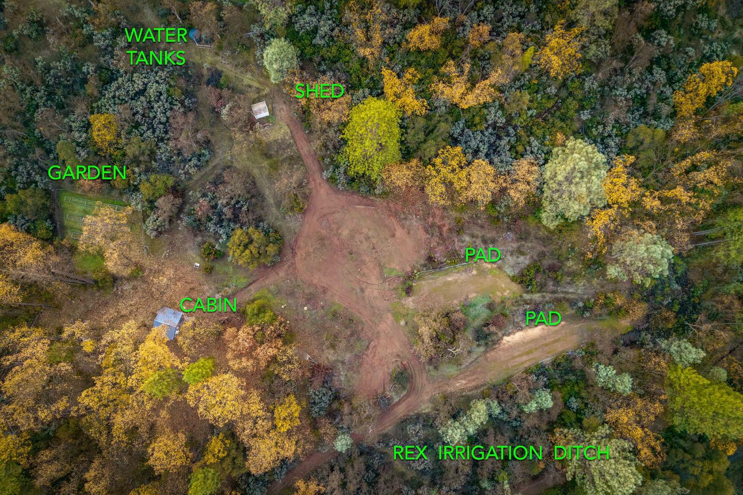 11838 Flying T Road Penn Valley, CA 95946 - Photo 28 of 42 a view of a yard with plants and large trees