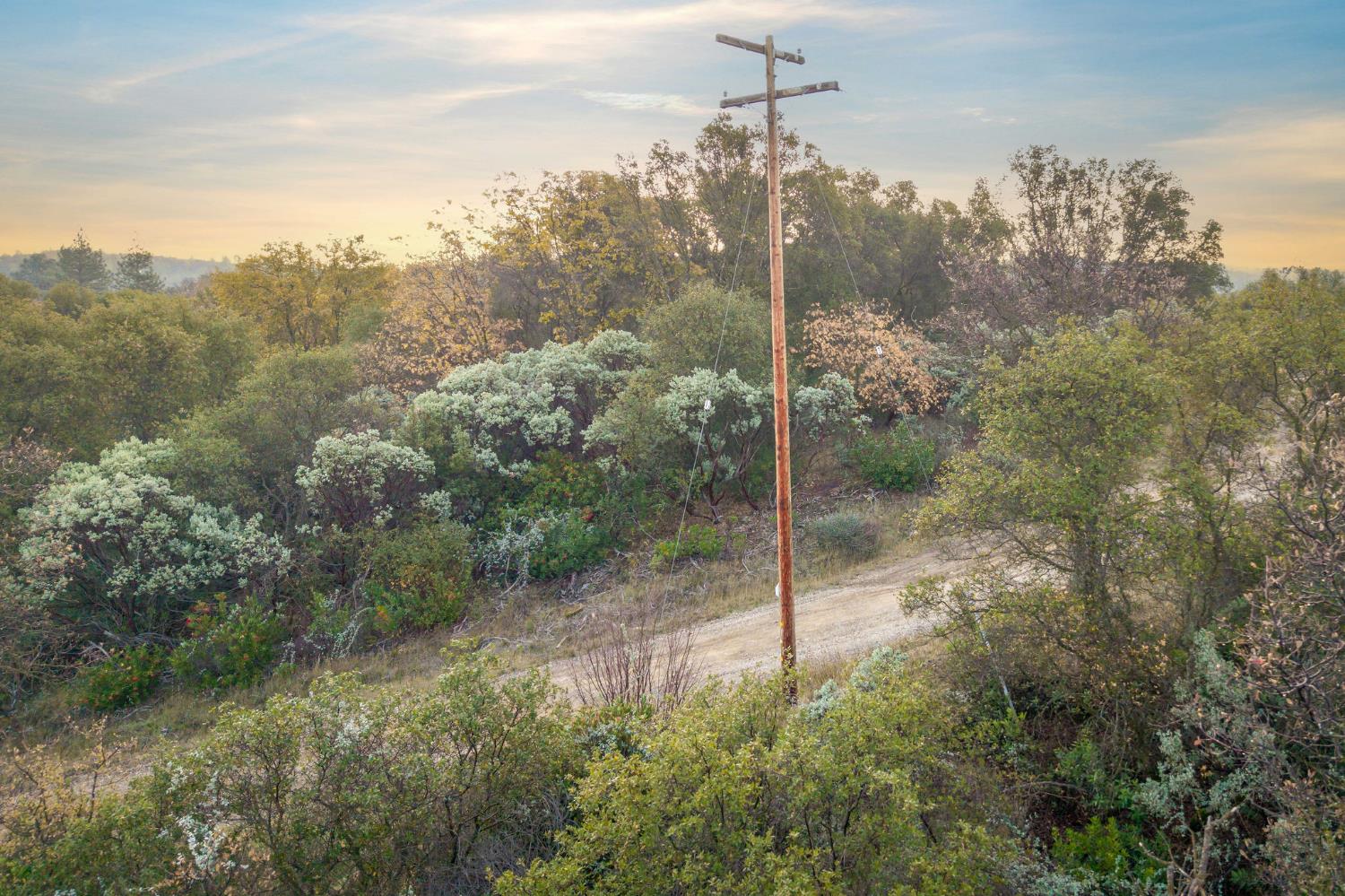 11838 Flying T Road Penn Valley, CA 95946 - Photo 30 of 42 a view of a forest