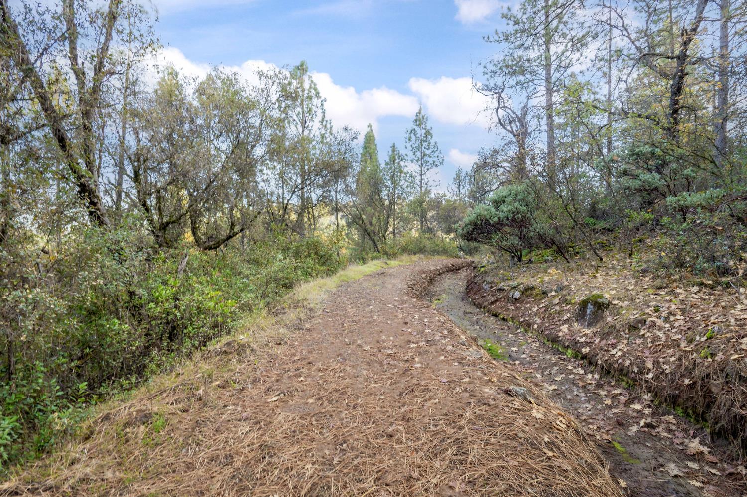 11838 Flying T Road Penn Valley, CA 95946 - Photo 34 of 42 a view of a dirt road with large trees