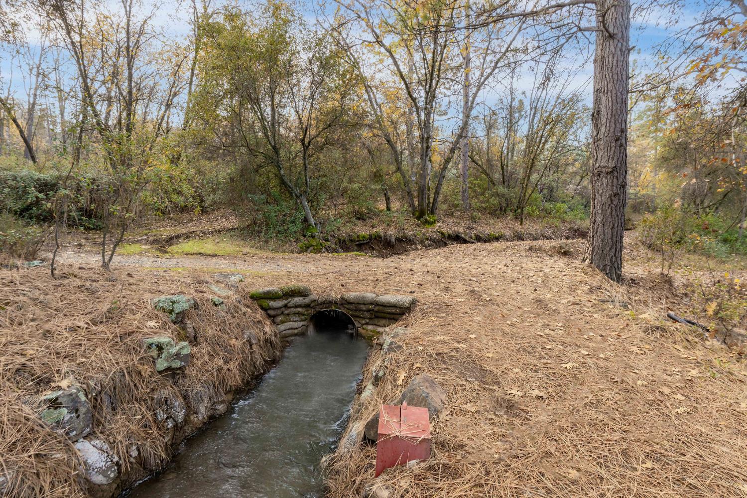 11838 Flying T Road Penn Valley, CA 95946 - Photo 35 of 42 a backyard of a house with a yard