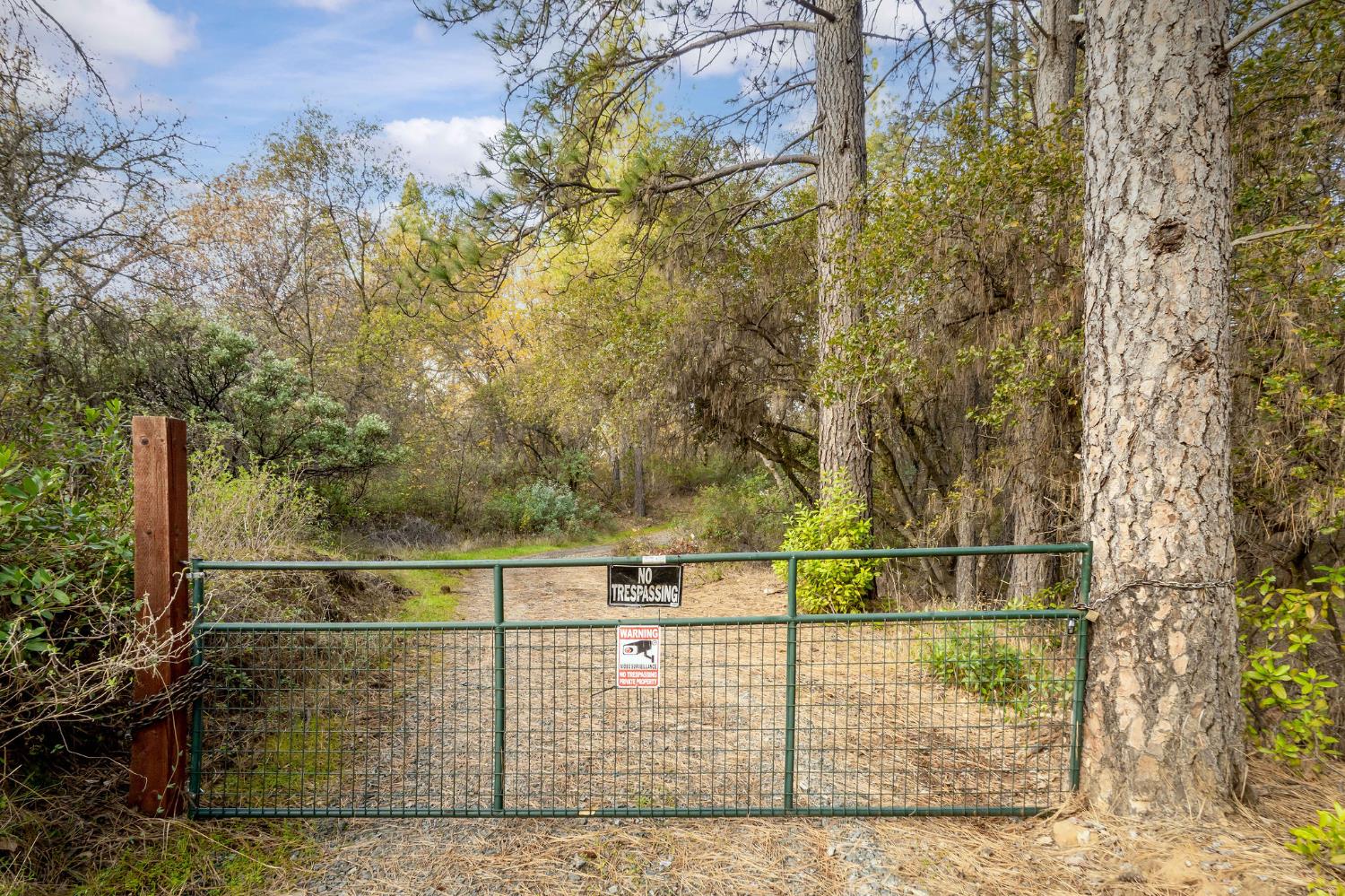 11838 Flying T Road Penn Valley, CA 95946 - Photo 38 of 42 a view of outdoor space