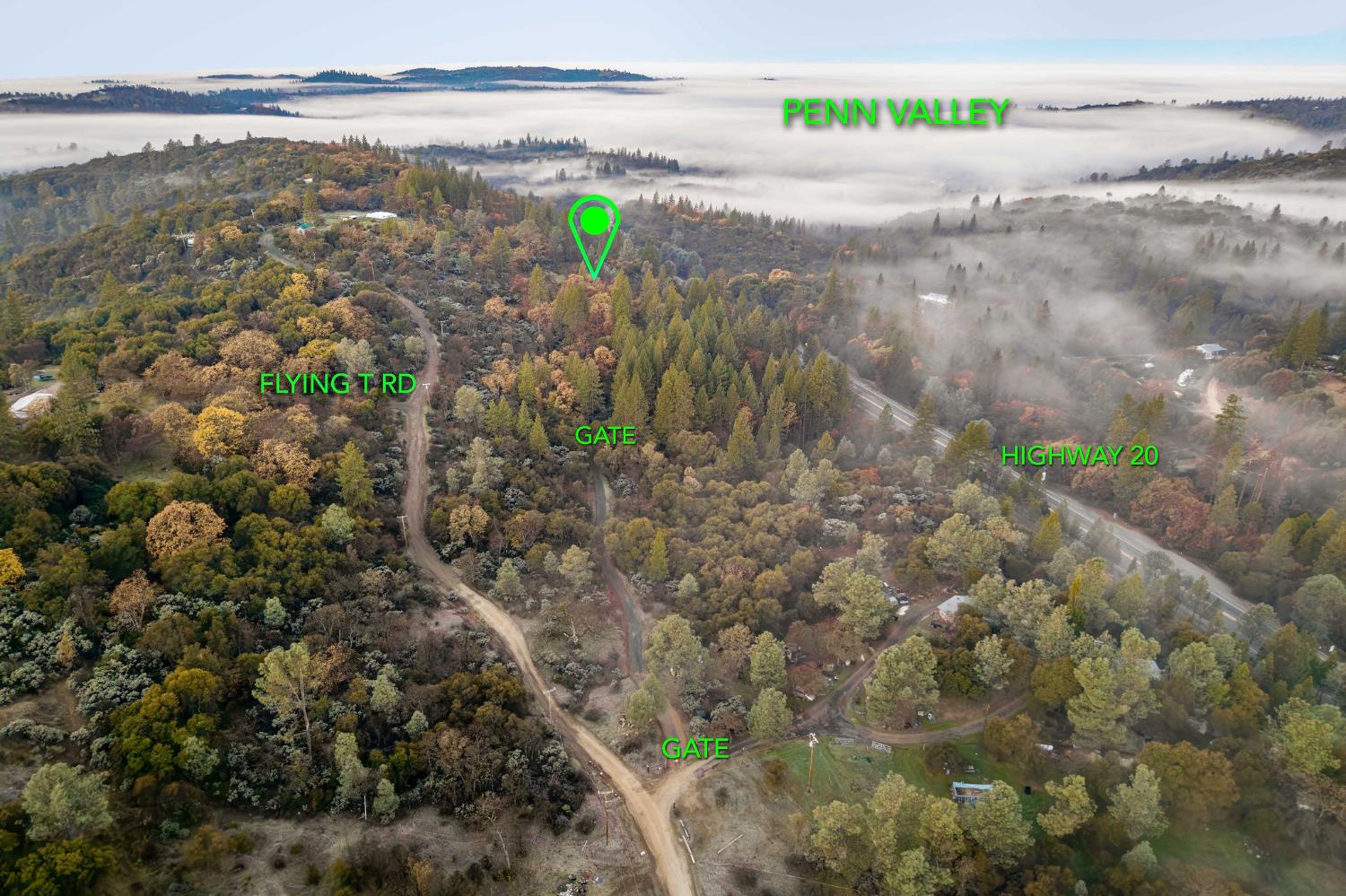 11838 Flying T Road Penn Valley, CA 95946 - Photo 39 of 42 a view of a yard