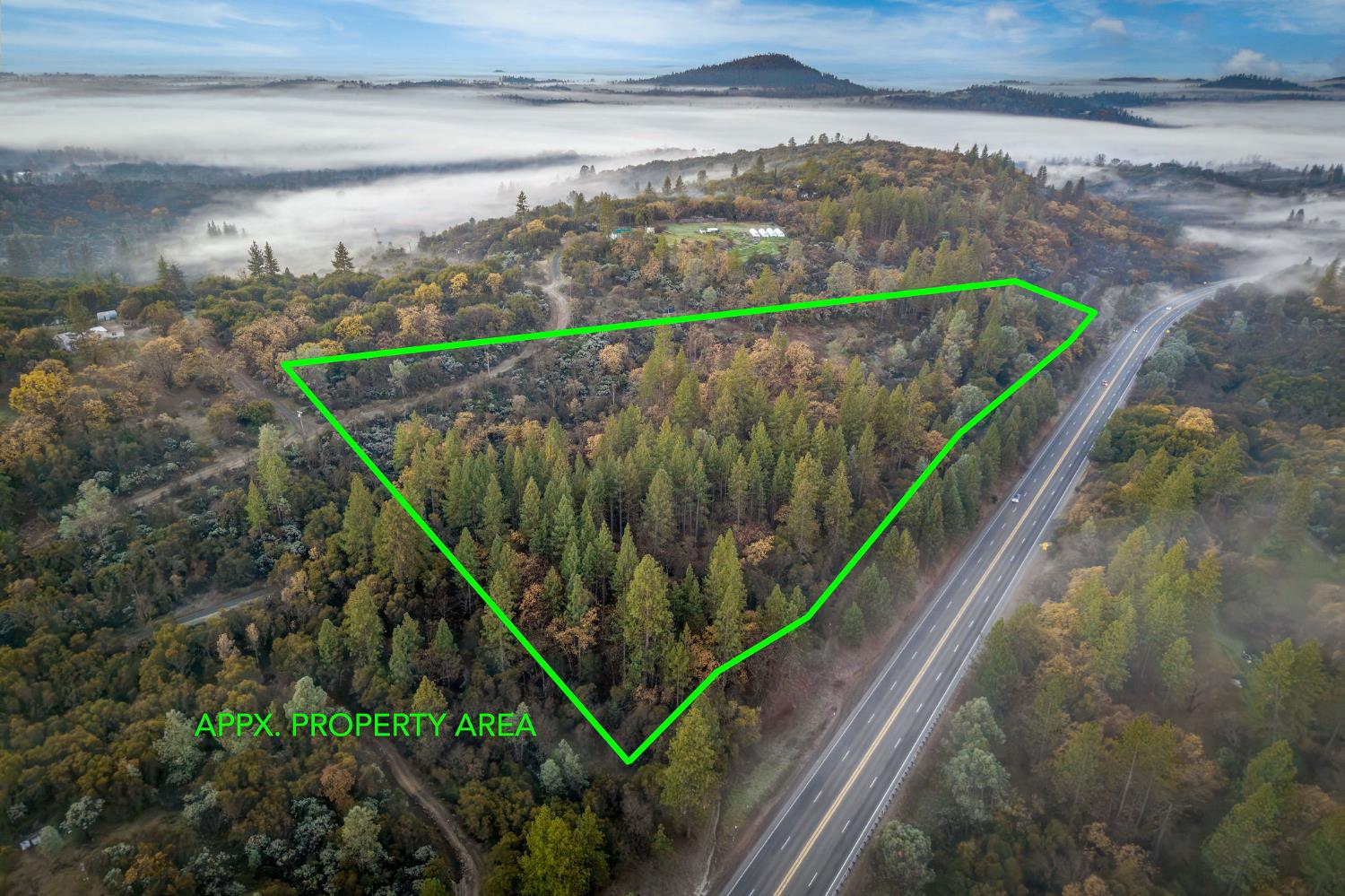 11838 Flying T Road Penn Valley, CA 95946 - Photo 4 of 42 a view of a yard with wooden floor