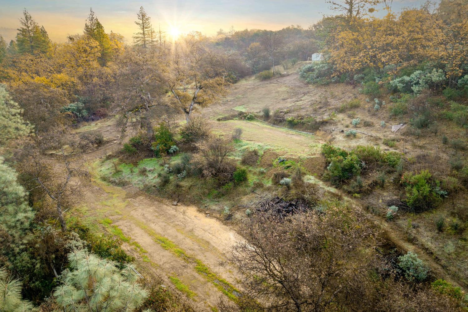 11838 Flying T Road Penn Valley, CA 95946 - Photo 5 of 42 a view of a forest with trees in the background