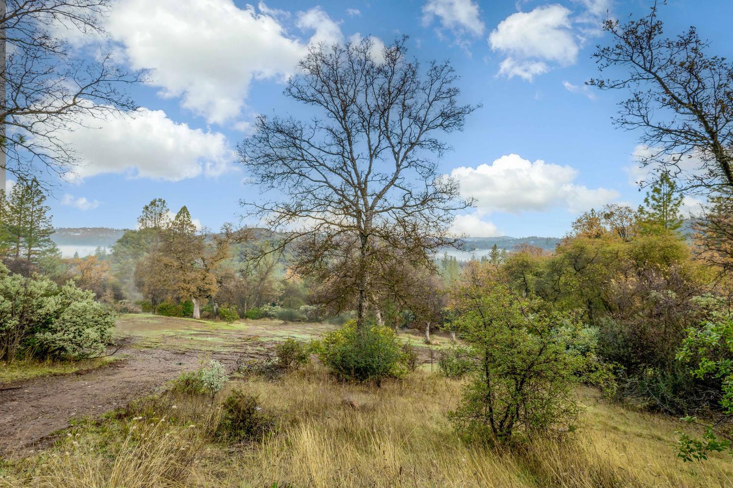 11838 Flying T Road Penn Valley, CA 95946 - Photo 8 of 42 a view of a yard
