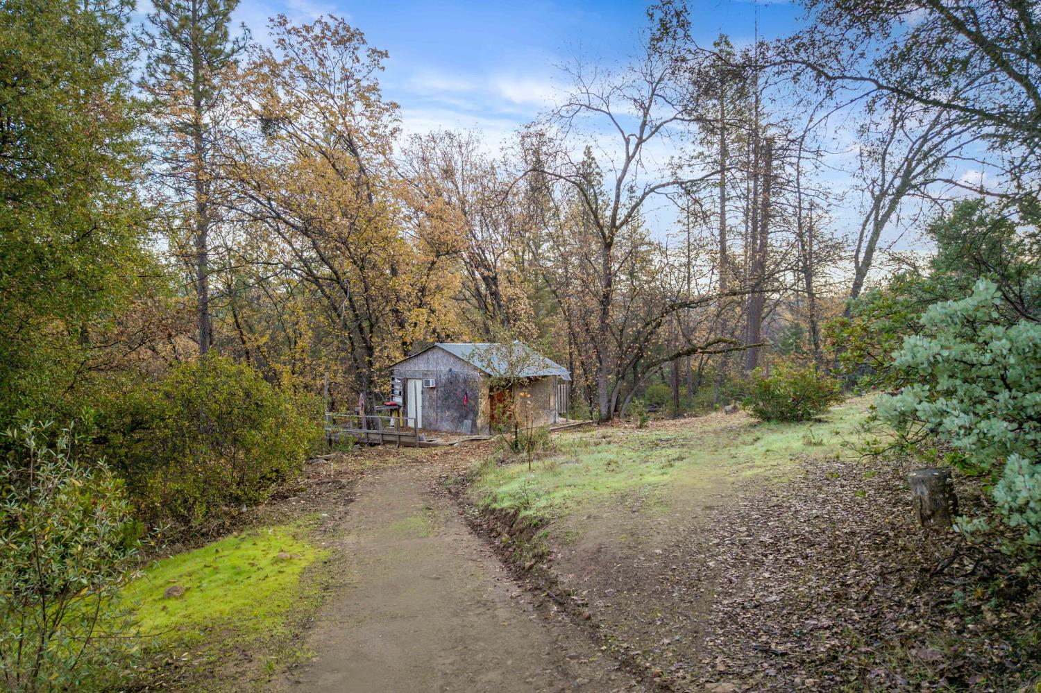 11838 Flying T Road Penn Valley, CA 95946 - Photo 9 of 42 a dirt road with trees in the background
