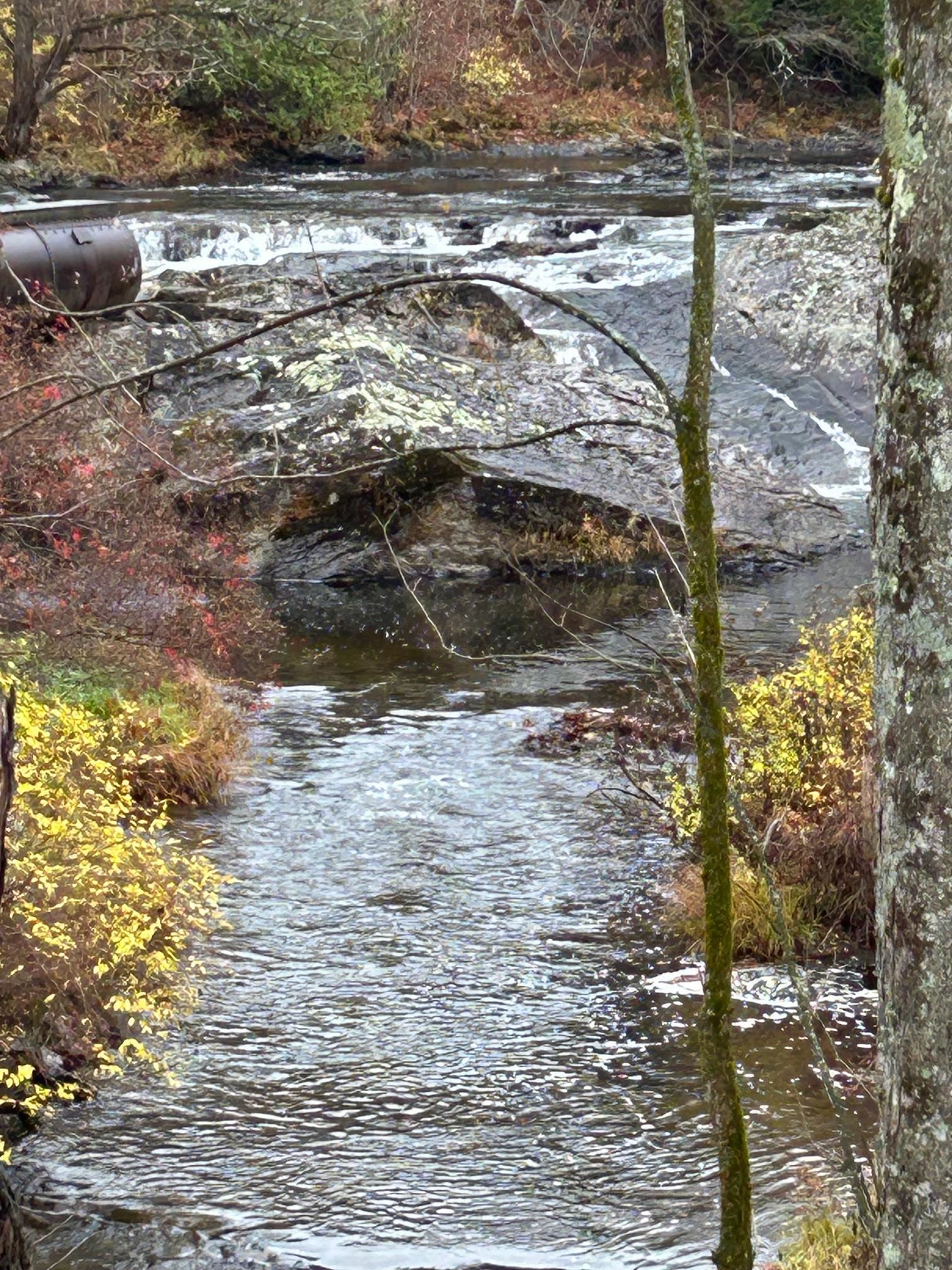 19 Sinclair Road Johnson, VT 05656 - Photo 4 of 56