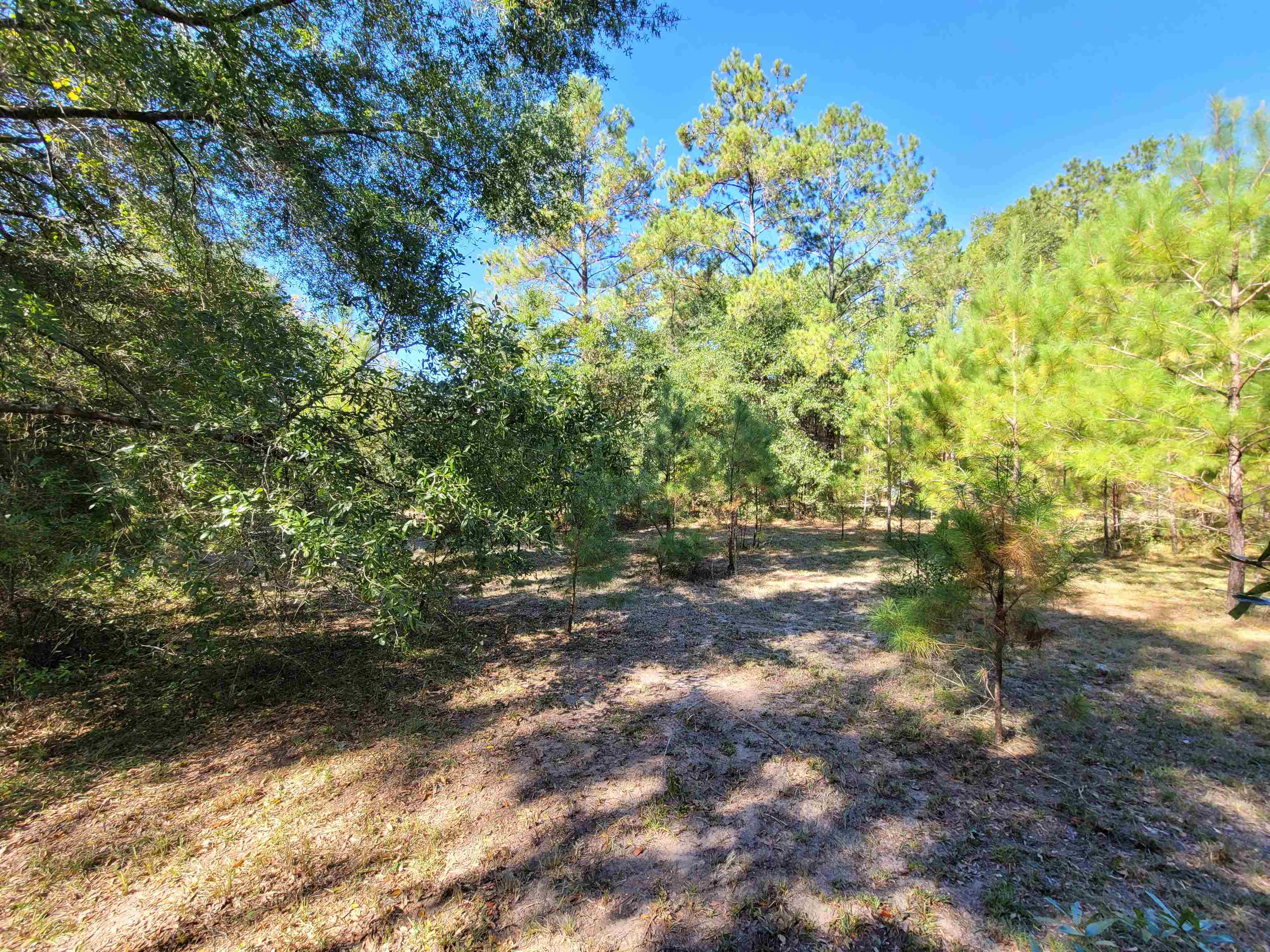 Lot 3 Cap Tram Road Tallahassee, FL 32317 - Photo 2 of 10 Gallery Image 2