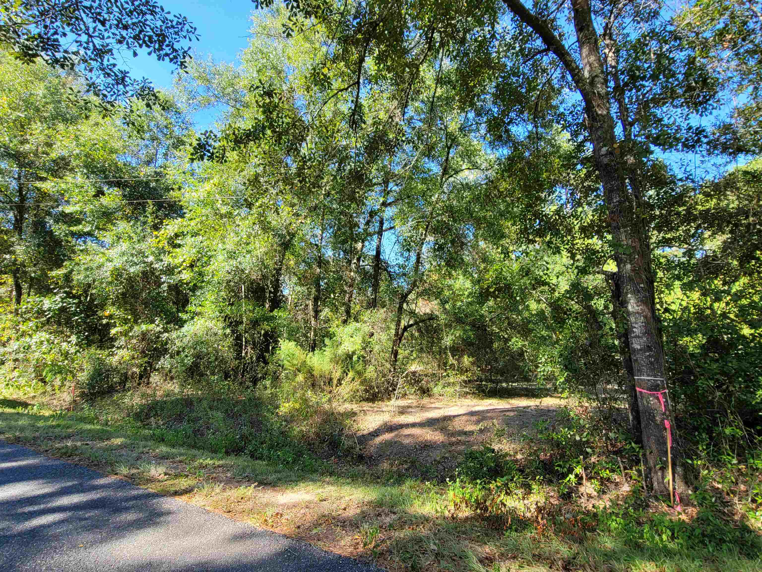Lot 3 Cap Tram Road Tallahassee, FL 32317 - Photo 7 of 10 Gallery Image 7