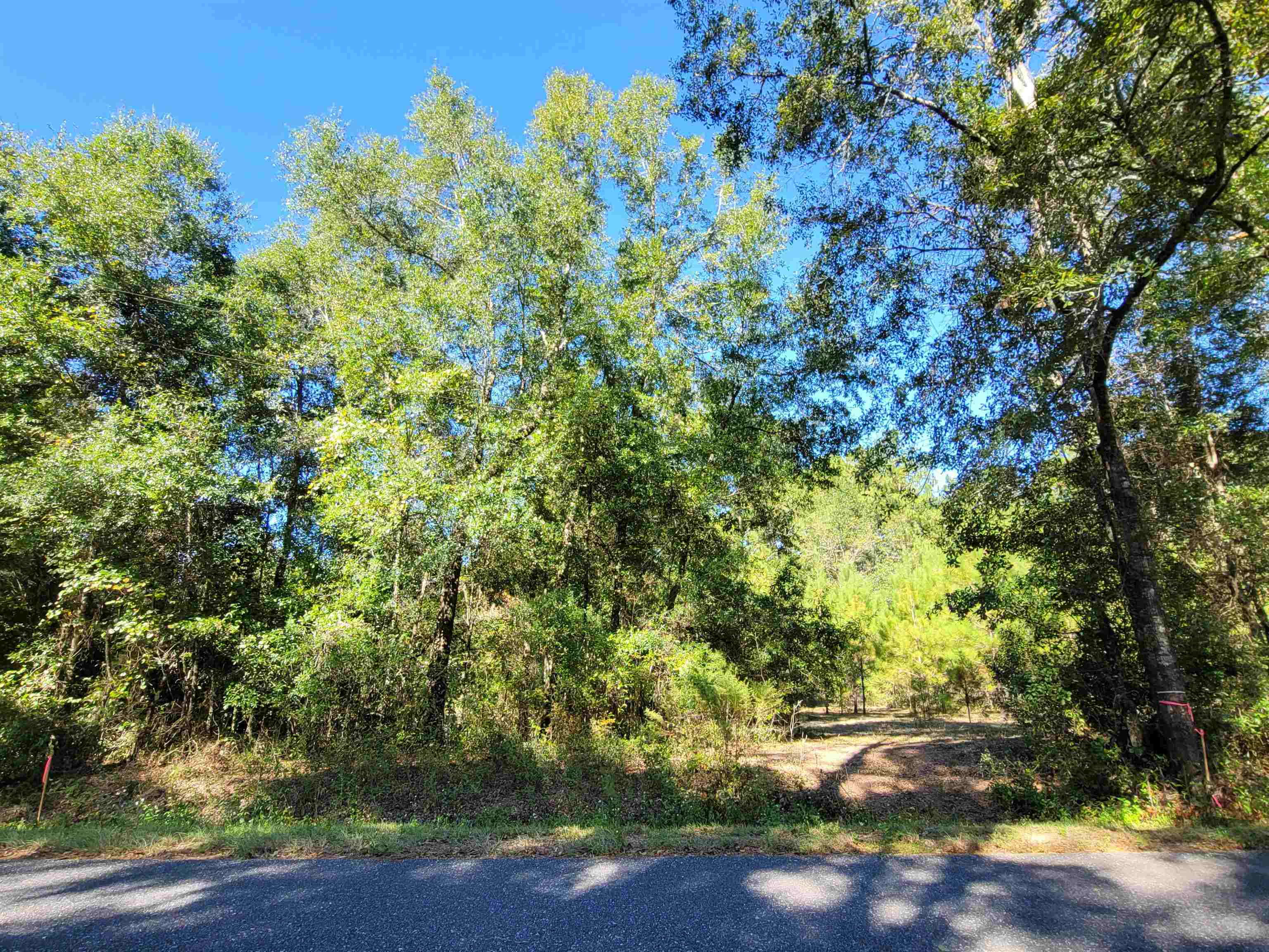 Lot 3 Cap Tram Road Tallahassee, FL 32317 - Photo 8 of 10 Gallery Image 8