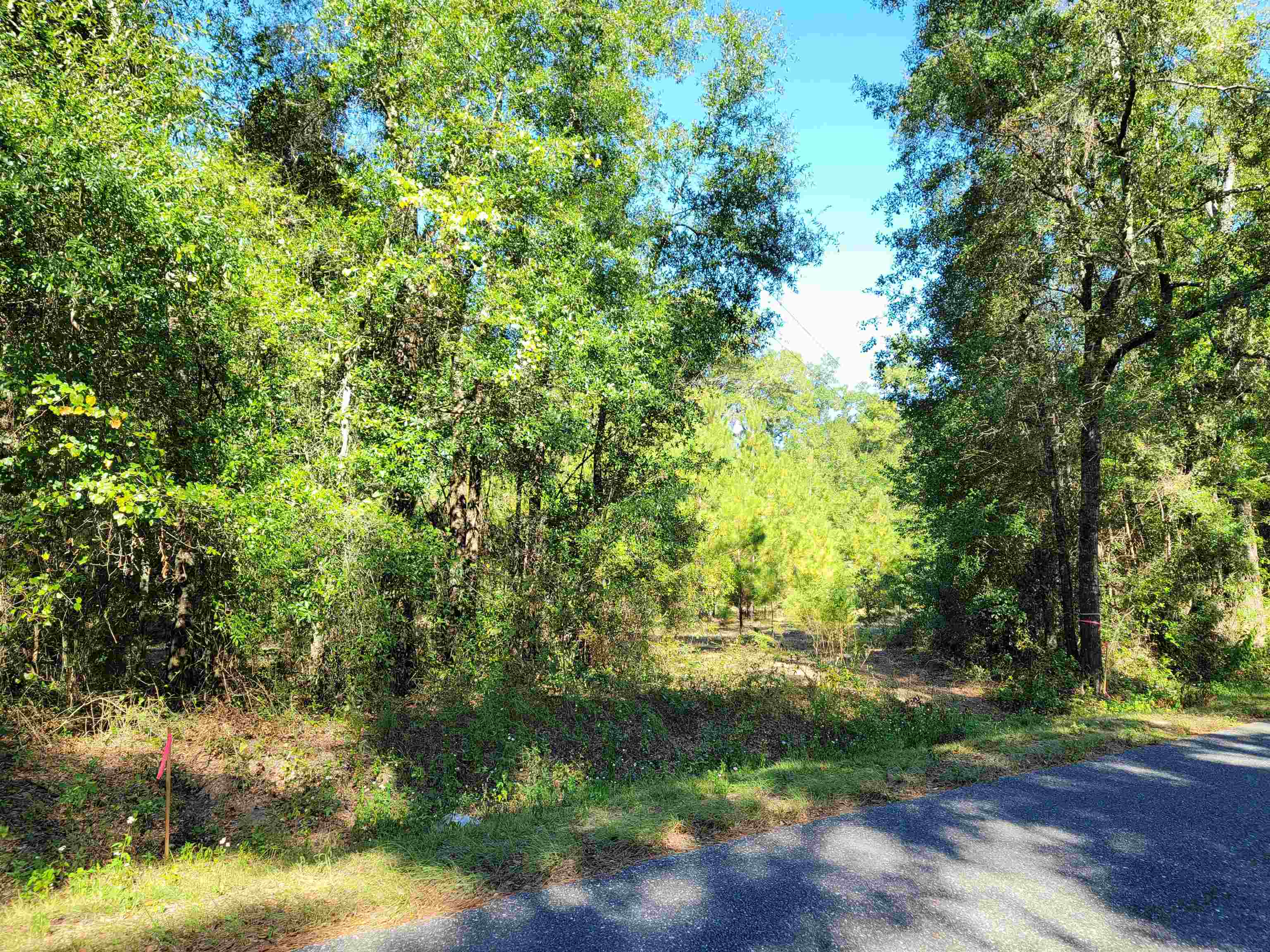 Lot 3 Cap Tram Road Tallahassee, FL 32317 - Photo 9 of 10 Gallery Image 9