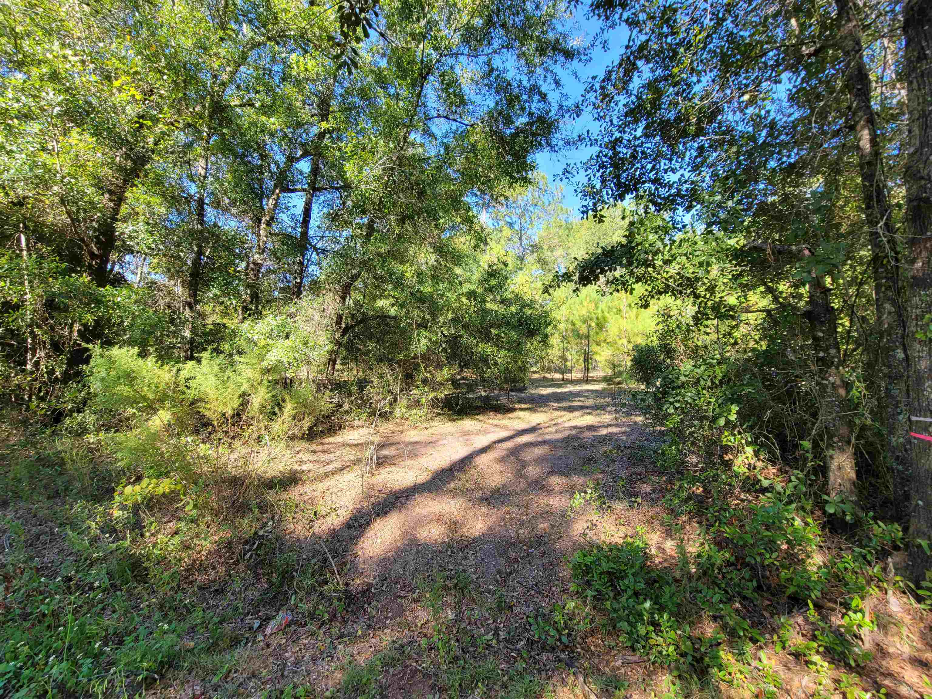 Lot 3 Cap Tram Road Tallahassee, FL 32317 - Photo 10 of 10 Gallery Image 10
