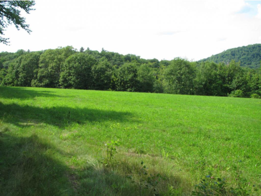164 Potash Road Guilford, VT 05301 - Photo 7 of 25