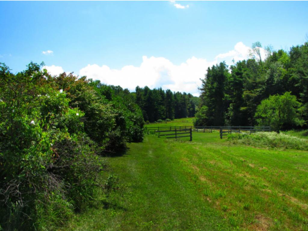 164 Potash Road Guilford, VT 05301 - Photo 10 of 25