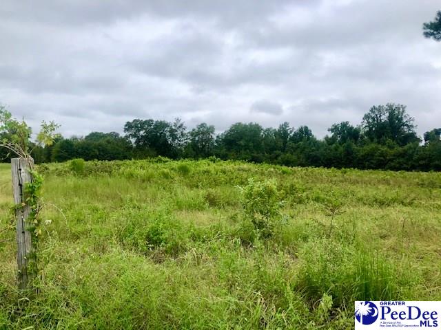 4.21-ac 4.21-ac Road Hartsville, SC 29550 - Photo 1 of 1 Gallery Image 1