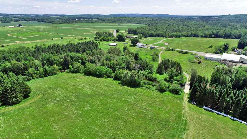 Lot 7 Drews Lake Road Houlton, ME 04730 - Photo 13 of 34 farming-area-aroostook-coun