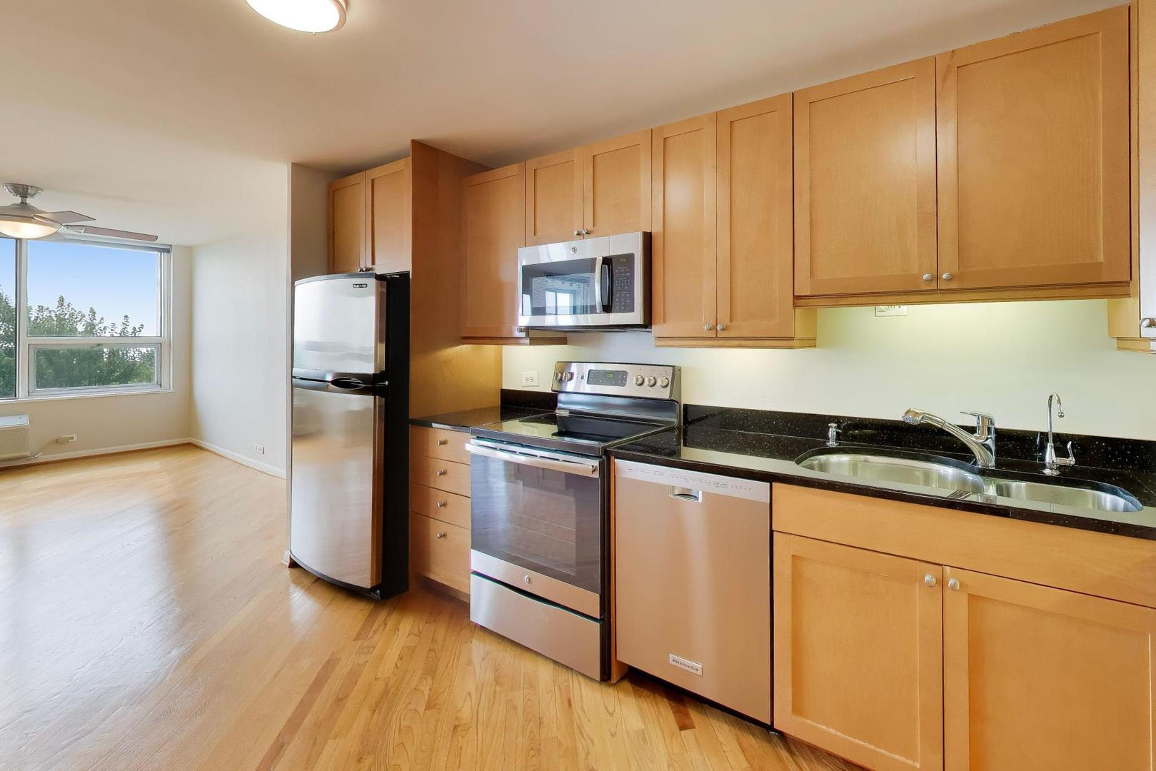 5733 North Sheridan Road, Unit 6C Chicago, IL 60660 - Photo 10 of 27 Gallery Image 10