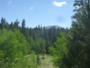 160 Ridge Road Fairplay, CO 80440 - Photo 1 of 10 Gallery Image 1