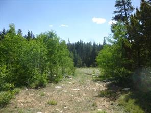 160 Ridge Road Fairplay, CO 80440 - Photo 2 of 10 Gallery Image 2