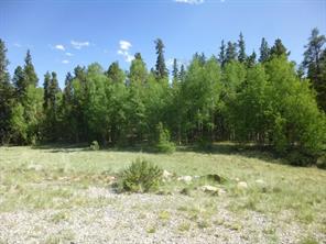 160 Ridge Road Fairplay, CO 80440 - Photo 3 of 10 Gallery Image 3