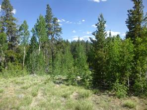 160 Ridge Road Fairplay, CO 80440 - Photo 5 of 10 Gallery Image 5