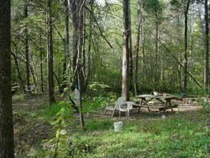 1928 Bethlehem Road Kings Mountain, NC 28086 - Photo 3 of 7 Gallery Image 3
