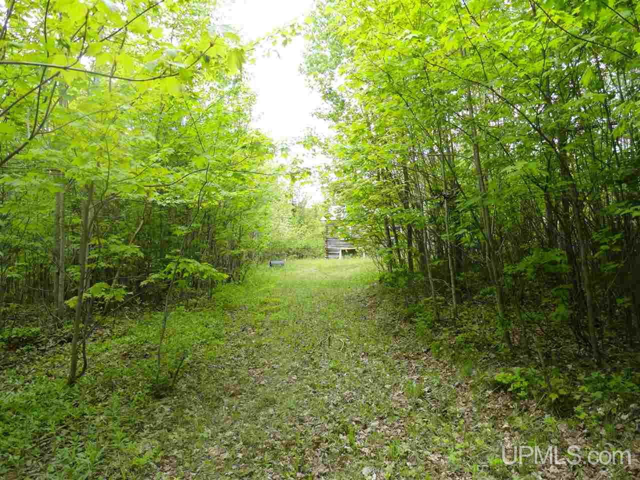 2 Rd Rock Mi 49880 Road Rock, MI 49880 - Photo 11 of 39