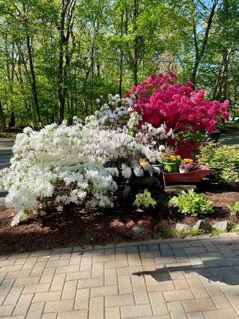 219 Brian Drive Warwick, RI 02886 - Photo 38 of 38